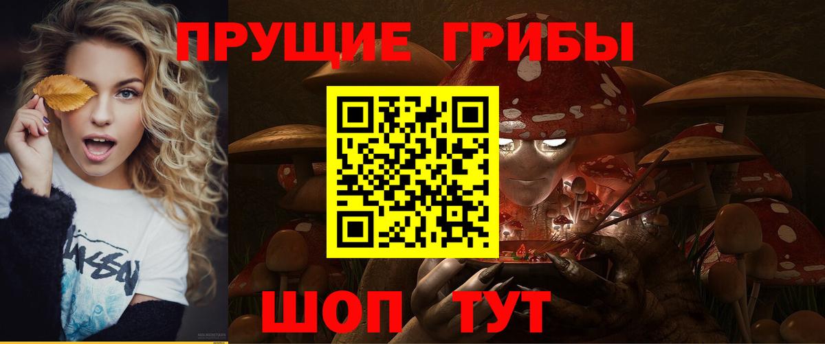 Галлюциногенные грибы мицелий Петрозаводск